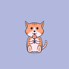 cute cat is licking candy