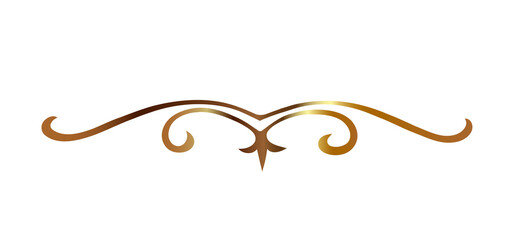 Decorative lines. Lines for text, presentation. Beautiful lines. transparent background.