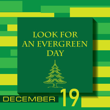 Look for an Evergreen Day