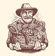 Farmer with full basket of ripe grapes harvested from vineyard. Agriculture, fruit growing sketch. Vintage vector