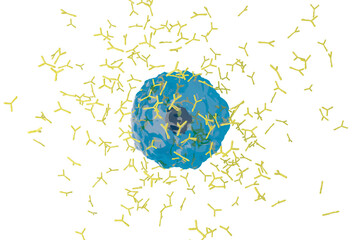 抗体を産生する形質細胞のイメージ