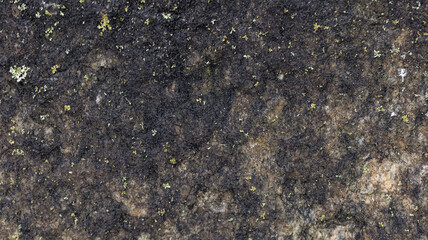Nature's own patterns are everywhere.