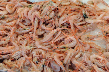 White shrimps of Huelva for sale in the fish market. Seafood from Spain