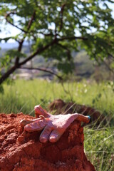 garbage in nature