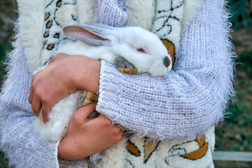 White rabbit in the arms of a child close-up. Symbol of 2023