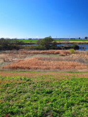 冬の江戸川土手から見る河川敷風景