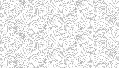 Topographic map contour background. Topo map with elevation. Contour map vector. Geographic World Topography map grid abstract vector illustration .