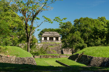 Fototapeta na wymiar Mayan ruins in Palenque, Chiapas, Mexico