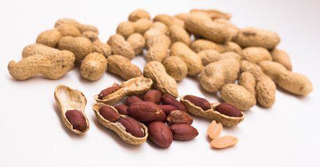 peanut kernels on a white background