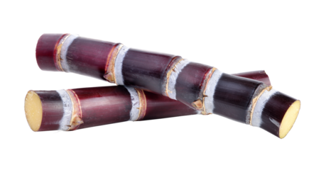 sugarcane on transparent png