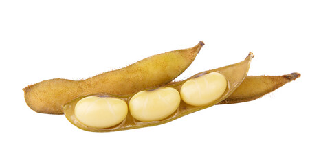 soy bean on transparent png