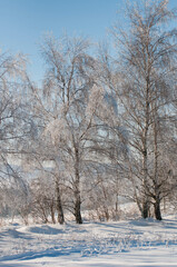 landscapes in winter time, poland landscape, Śnieżka, Karkonosze, wintertime,  winter photos, 
walk in winter