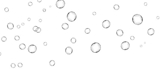 bubbles on transparent background