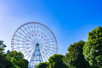 葛西臨海公園 の ダイヤと花の大観覧車 【 観覧車 の イメージ 】