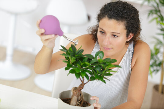 A Woman Is Watering A Bonsai