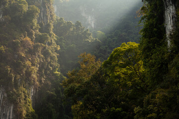 Fototapeta na wymiar Sunbeams pierce the deep green rainforest in the karst mountains of Cheow Lan Lake, Khao Sok, Thailand