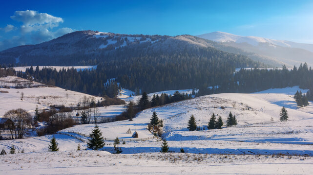 countryside winter scenery in carpathian mountains. rural landscape with snow covered fields and hills in evening light