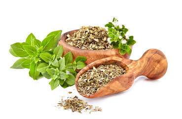 Fresh Basil leaves with dry basil in spoon in closeup on white background