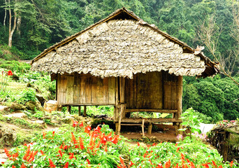 A small rural house made of wood in Thailand.