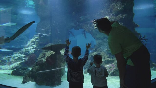 Two kids and father watching the large aquarium with ocean big fish