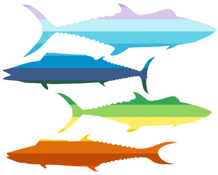 Rainbow fish. Colored fish silhouette. Isolated mackerel.