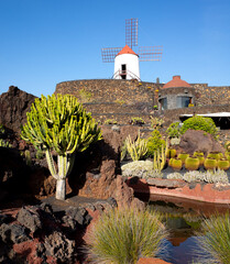 View of windmill at Jardin de Cactus in Guatiza, Lanzarote island. Beautiful landscape of botanical cactus garden with volcanic rocks, green wild plants and scenic blue sky. Canary islands, Spain.