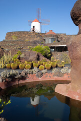 View of windmill with reflection on water at botanical garden Jardin de Cactus, Guatiza, Lanzarote island. Beautiful landcape with nobody, blue sky, volcanic stones, wild plants.Canary islands, Spain.