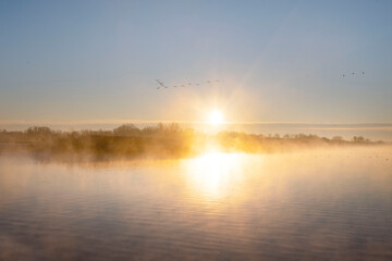 Fototapeta na wymiar Beautiful winter morning, sunrise on lake the Netherlands.