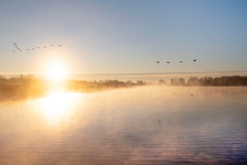 Beautiful winter morning, sunrise on lake the Netherlands.