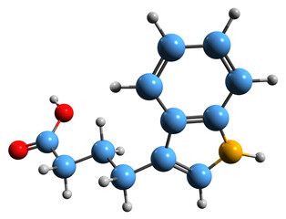  3D image of Indole-3-butyric acid skeletal formula - molecular chemical structure of  plant hormone Indolebutyric acid isolated on white background