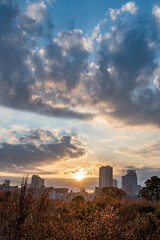 Beautiful view of sunlight covering some flowers in a sunny day