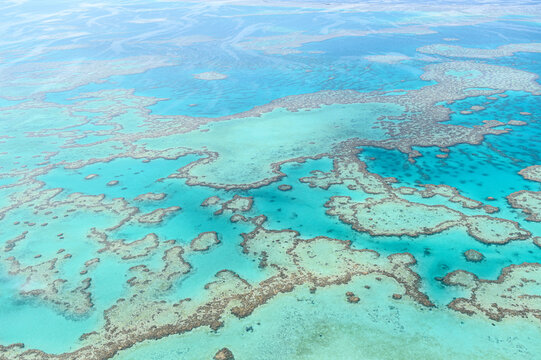 Amazing view of reef with turquoise water