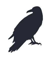 raven animal black silhouette
