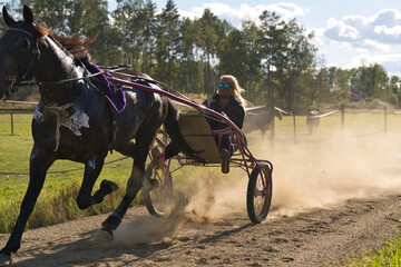 Lady trains a horse sitting in a sulky on a track