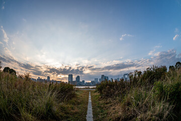 View of a path surrounded by plants with a river and Umeda city in the background during sunrise