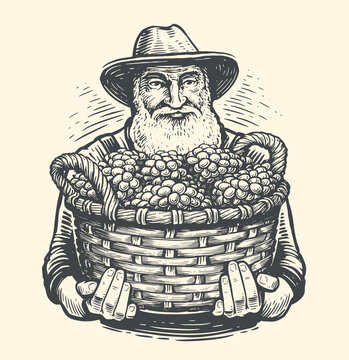 Farmer With A Basket Of Grapes Drawn In Vintage Engraving Style. Viticulture, Vineyard Sketch. Vector Illustration