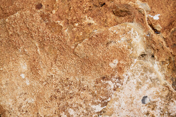 Abstract natural background