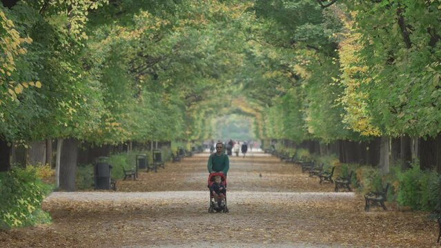 Single father with child in baby buggy walking on the alley in the park during a beautiful sunny autumn day