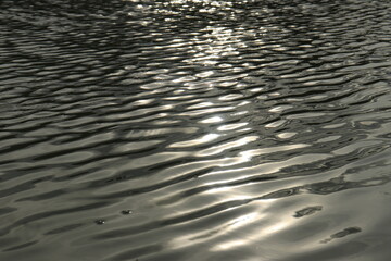 Reflection of sunlight and water waves in the fish pond. Water background texture 