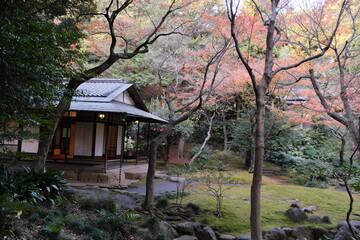 秋の日本庭園　Japanese Garden in Autumn
