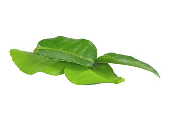 Bergamot leaves on transparent , png.