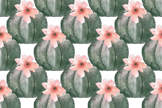 Seamless pattern with succulents and cacti flowers. Watercolor hand drawing illustration.