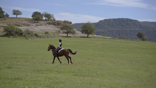 Female jockey riding a brunette horse in a beautiful green field, dressed in black helmet and professional equipment, beautiful green landscape on the background
