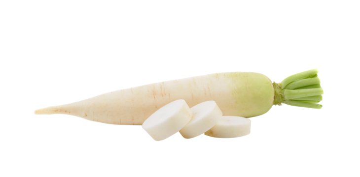 Daikon radishes isolated on transparent png
