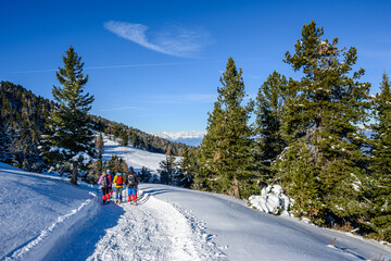 Dolomiti, Trentino, Passo Oclini Lavazè con neve - obrazy, fototapety, plakaty