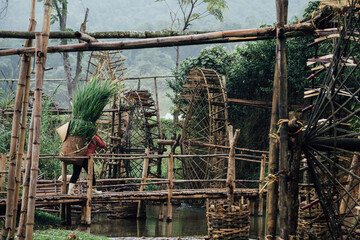 Farmer Carrying Grasses by Bamboo Waterwheel, Pu Luong Vietnam