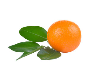 Orange  isolated on  transparent png