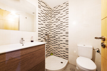 Complete bathroom with a rectangular mirror attached to the wall and porcelain stoneware, dark wood furniture with a white resin washbasin cabinet without a partition with