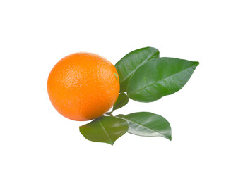 Orange slice isolated on  transparent png