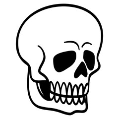 side view of a vector skull